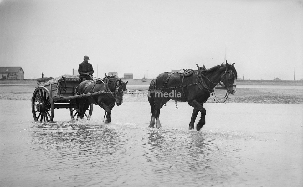 Shoreham harbour, Shoreham-by-Sea, West Sussex, 1905-1925. A horse-drawn ballast cart in the sea