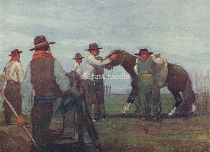 'Gauchos Breaking in a Young Horse', 1916. From America in Pictures, by H. Clive Barnard, M.A., B.Litt. [A. & C. Black, Limited, London, 1916]