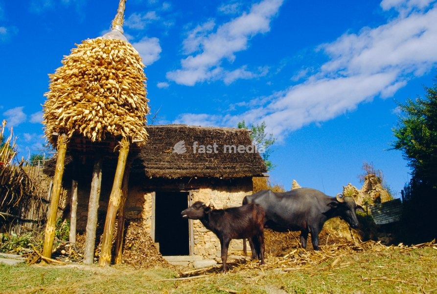 Nepalese countryside house, Nagarkot, Nepal