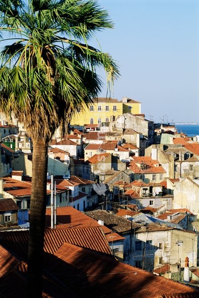 View of Alfama district and the Tagus River, Lisbon, Portugal, Europe