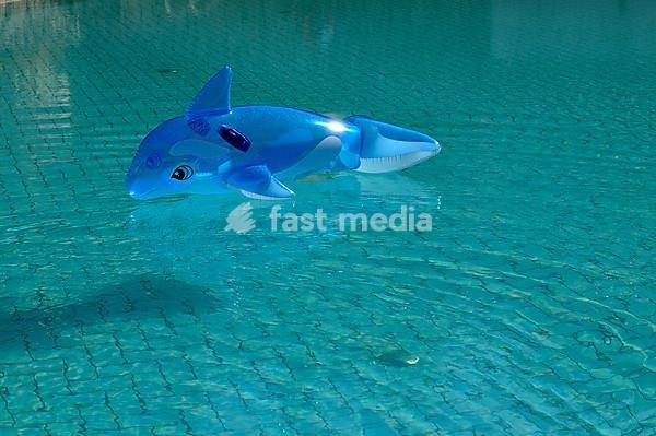 Blue, inflatable dolphin adrift in a blue swimming pool