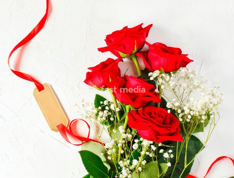 Bouquet of red roses on white background