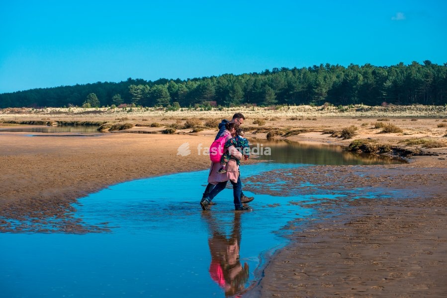A family cross water pools left by the tide on sandy beach at Holkham bay, North Norfolk coast, East Anglia, England, UK