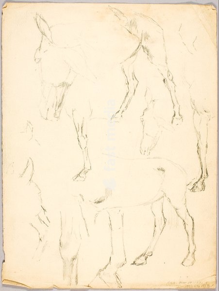 Solon H. Borglum, CT 1922. Portrait Study, Horse Study, 1891. Drawing, pencil, conte. Inv. Nr. 1971.446.158A-B Washington, Smithsonian American Art Museum