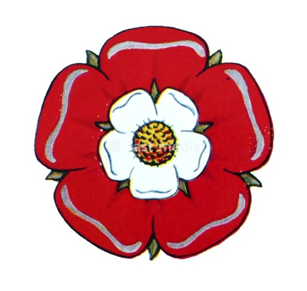 Illustration depicting a Red Rose of Lancastrians during the Wars of the Roses, the civil war between the Houses of Lancaster and York that extended across England in the latter half of the 15th century