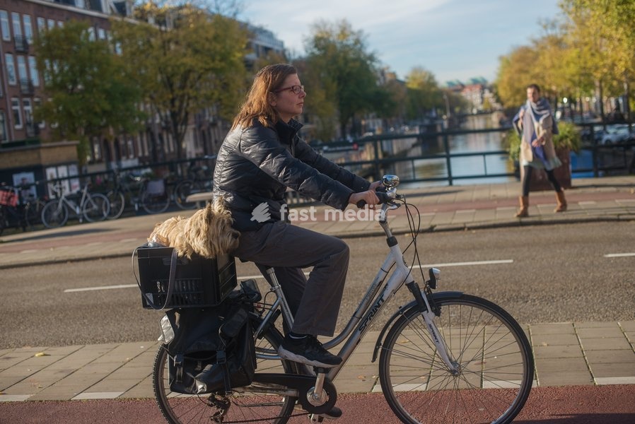 A cyclist in Amsterdam, The Netherlands