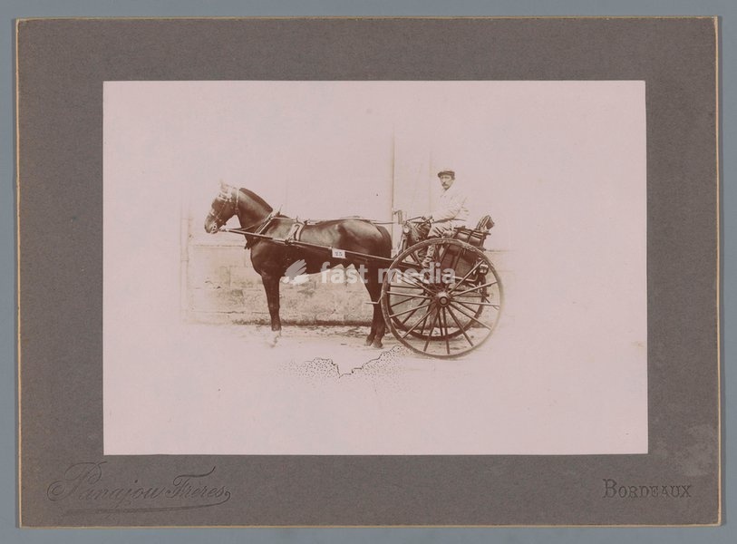 Portrait of an unknown man on a horse-drawn carriage. Photo, 1900–1910, Panajou. Inv. Nr. RP-F-F21359 Amsterdam, Rijksmuseum