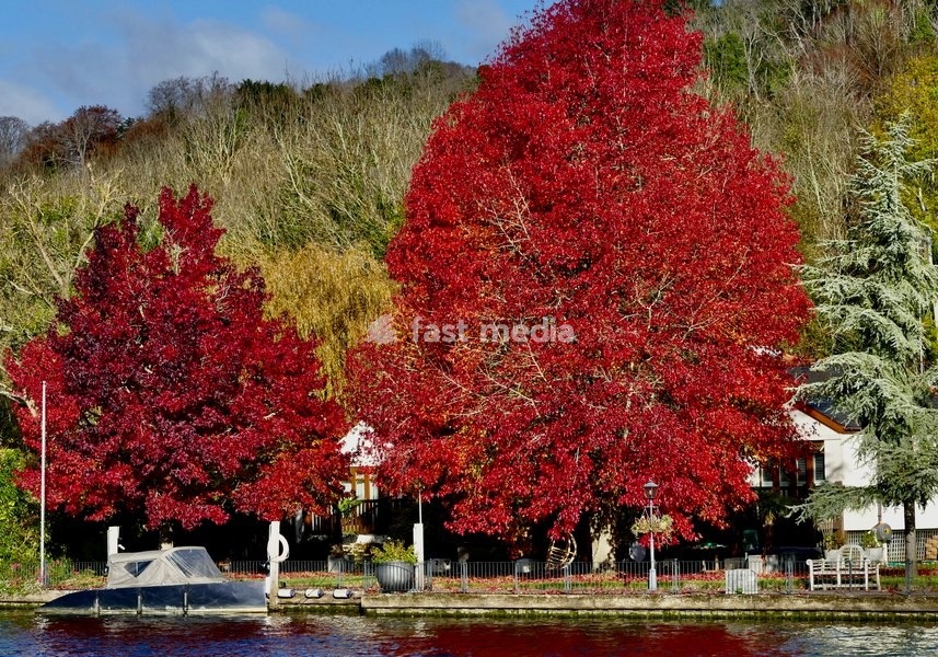 Pretty autumnal colours on a sunny day along The River Thames