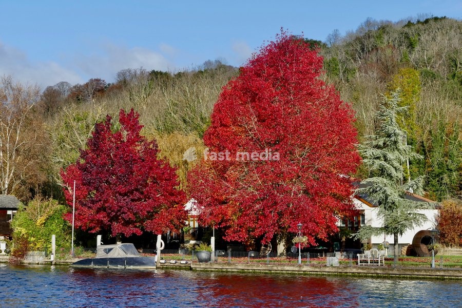 Pretty autumnal colours on a sunny day along The River Thames