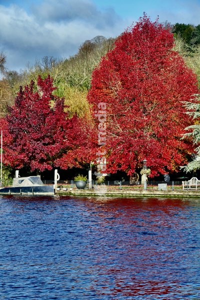 Pretty autumnal colours on a sunny day along The River Thames