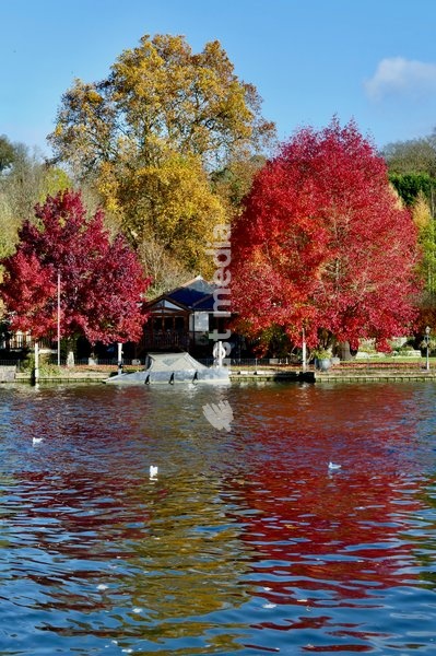 Pretty autumnal colours on a sunny day along The River Thames