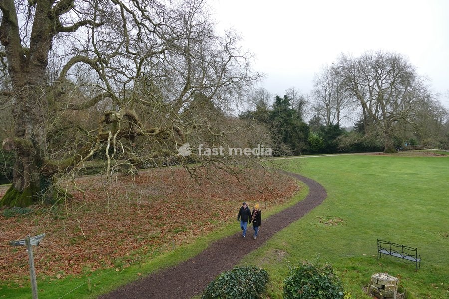 People out in the drizzle at Mottisfont House