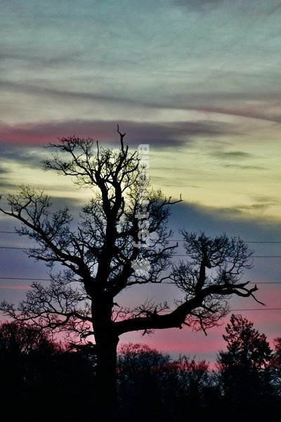 Colourful skies as dawn breaks on a New Year
