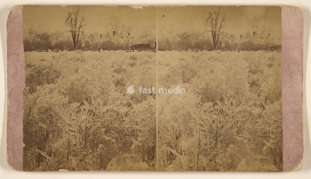 Brush field south gate cemetery. Photograph: Christopher Smith German, about 1865. Albumen silver print