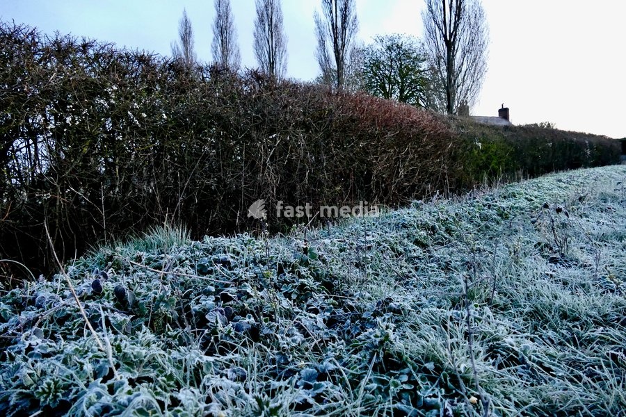 A frost covered verge after a bitterly cold night