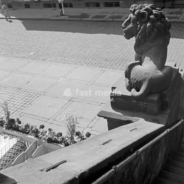 Löwenskulptur vor dem Eingang eines Hauses an einer Straße in Göttingen, Deutschland 1930er Jahre. Lion's sculpture at the entrance of a house on a street at Goettingen. Germany 1930s