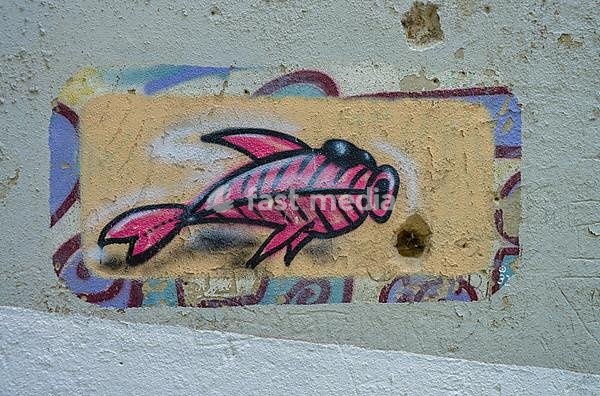 Graffiti, Alfama, Lisbon, Portugal
