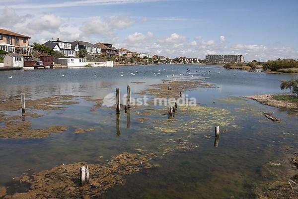 View of shallow saline lagoon habitat located on coastal marshland formed by sediments deposited by the River Adur, Widewater Lagoon, Shoreham-by-sea, West Sussex, England, United Kingdom