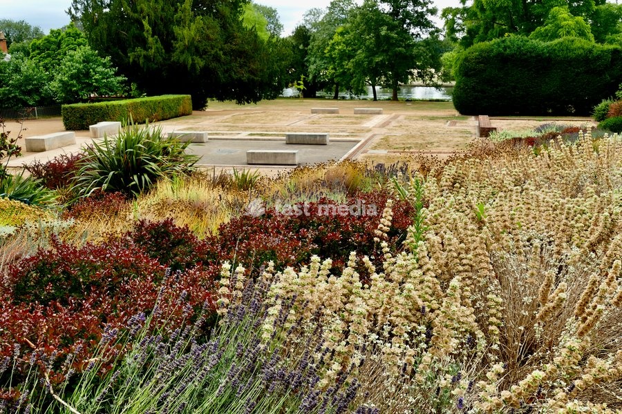 The autumnal colours at Caversham Court Gardens by The River thames, with dried seed heads and parches grasses due to the lack of rainfall and recent hot spell