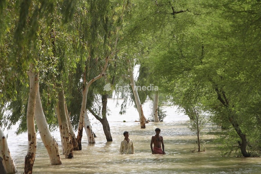 10.07.2007, Dadu, Sindh, Pakistan, PAK - Naturkatastrophe-Hochwasser. Internally Displaced People-Fluechtlinge durchwaten eine ueberschwemmte Baumallee