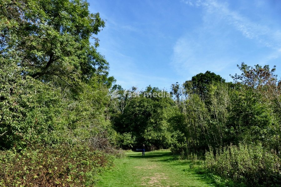 People out enjoying the autumn sunshine along the country lanes