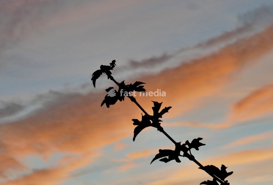Pretty skies at daybreak as the sun rises over the countryside