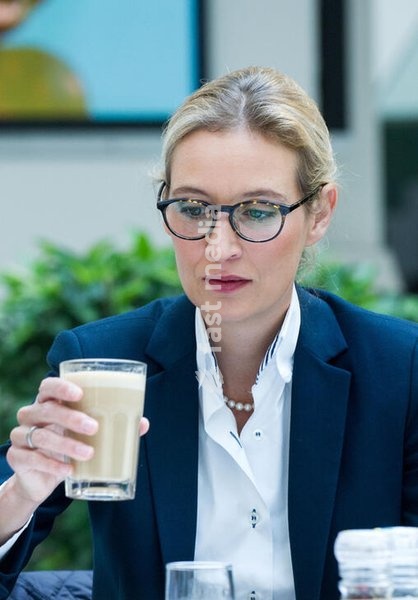 Alice Weidel, politician, AfD, Germany; the designated leader of the AfD parliamentary group in the German Bundestag and the top candidate of the AfD in the federal elections during a press conference on the subject of asylum policy. Berlin, August 21, 2017