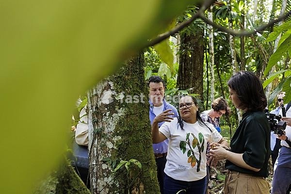 Annalena Bärbock (Bündnis 90 Die Grünen), Federal Minister for Foreign Affairs, and Hubertus Heil (SPD), Federal Minister for Labour and Social Affairs, photographed during a tour of Combu Island in Belem, 07.06.2023., Belem, Brazil