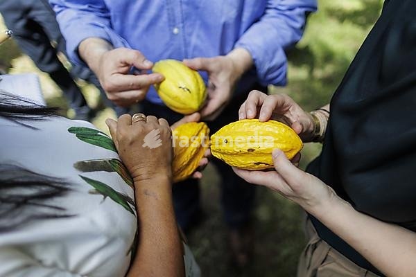 Annalena Bärbock (Bündnis 90 Die Grünen), Federal Minister for Foreign Affairs, and Hubertus Heil (SPD), Federal Minister for Labour and Social Affairs, photographed during a tour of Combu Island in Belem, 07.06.2023., Belem, Brazil