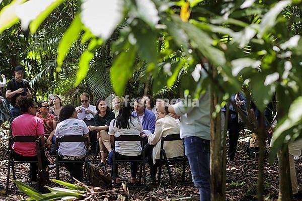 Annalena Bärbock (Bündnis 90 Die Grünen), Federal Minister for Foreign Affairs, and Hubertus Heil (SPD), Federal Minister for Labour and Social Affairs, photographed during a tour of Combu Island in Belem, 07.06.2023., Belem, Brazil