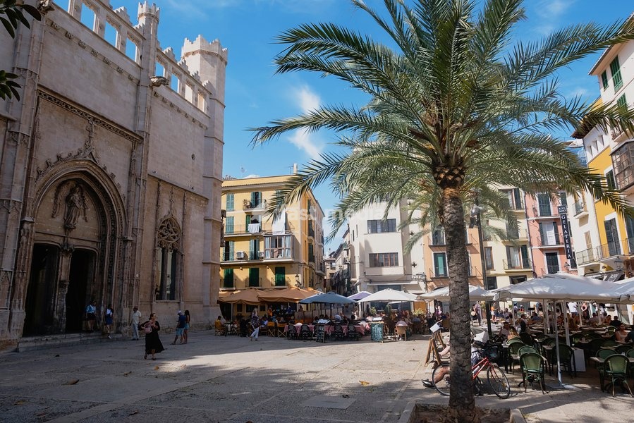 Spain, Balearic Islands, Majorca, Palma de Mallorca, Old Town. Placa de La Llotja. People at restaurant table under umbrellas in the old market square