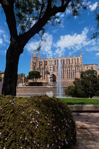 Spain, Balearic Islands, Majorca, Palma de Mallorca, Old Town. La Seu Gothic Roman Catholic Cathedral of Santa Maria with fountain in the foreground