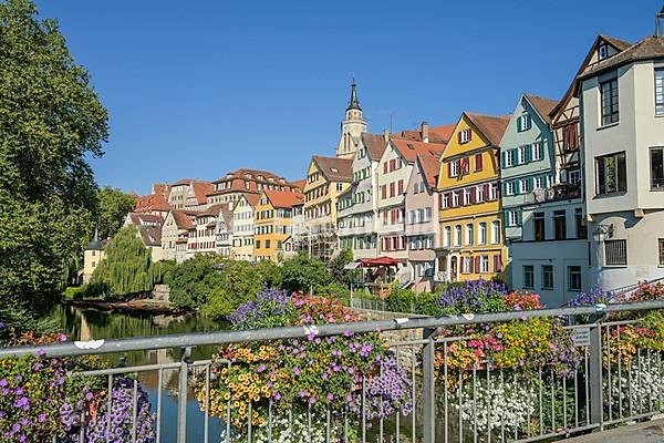 Flowers at the Eberhardsbrücke, old buildings, Neckar, Neckar front, old town, Tübingen, Baden-Württemberg, Germany