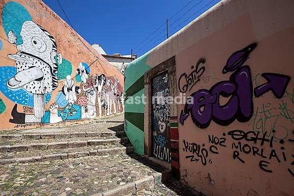 Wall painting, street art, graffiti, Beco do Maldonado, Alfama neighbourhood, Lisbon, Portugal