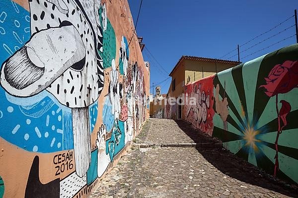 Wall painting, street art, graffiti, Beco do Maldonado, Alfama neighbourhood, Lisbon, Portugal