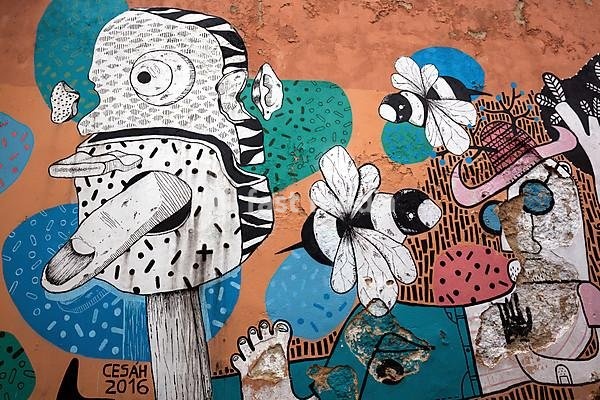 Wall painting, street art, graffiti, Beco do Maldonado, Alfama neighbourhood, Lisbon, Portugal