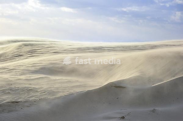 Shifting sands blown up by the wind on beach along the North Sea during winter storm, Belgium