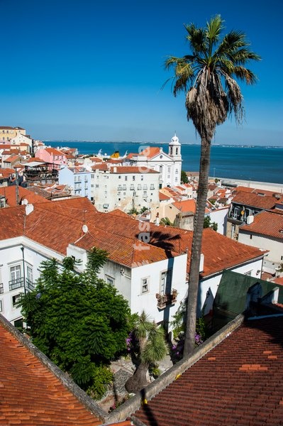 View from Portas do Sol over the old quarter of Alfama, Lisbon, Portugal, Europe