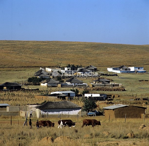 The village settlement of Mathula Stand in the Nebo district