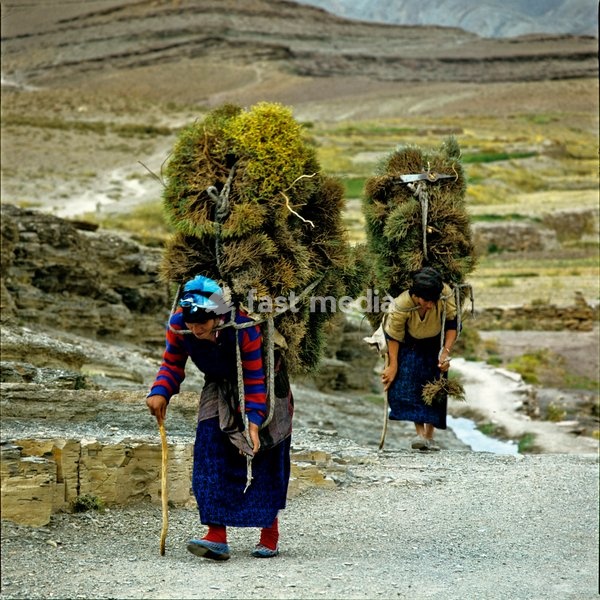 Hennou Mohe and Hennou Bassou of the Ait Haddidou tribe return to their village of Moutazili near Imilchil, Morocco, carrying bundles of sagebrush and thuriferous juniper for firewood