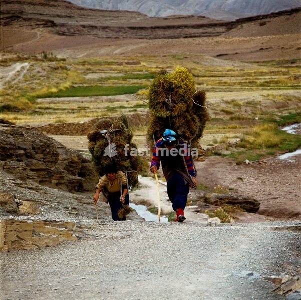 It is the younger women who carry enormous loads on their backs - which they will do until they attain the status of owning a mule. As each winter passes in these snow-covered High Atlas Mountains, women will have to walk farther and farther in search of firewood. Over the centuries the mountains…