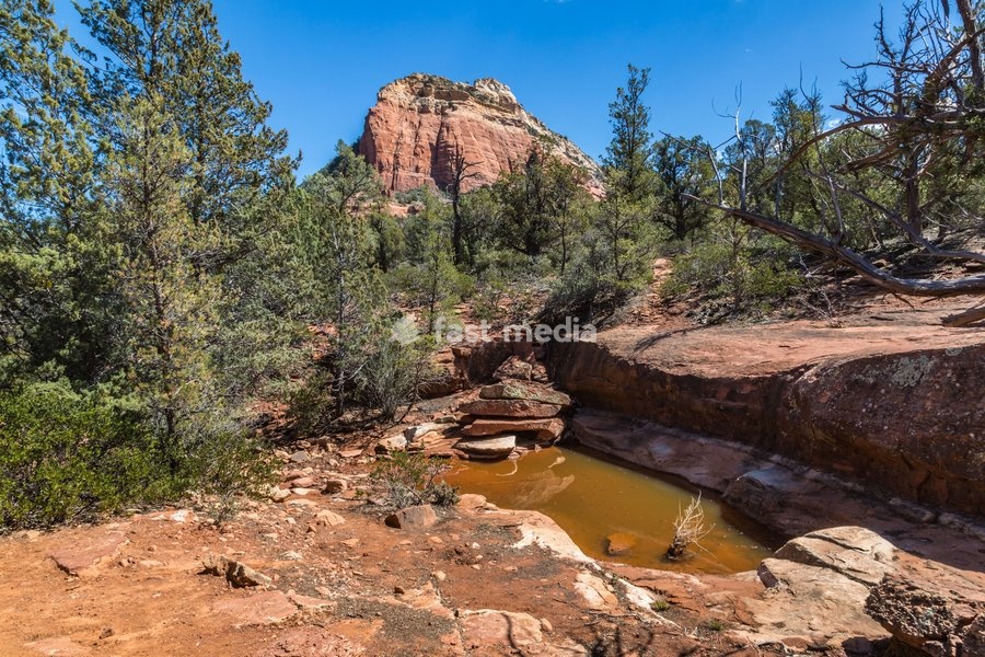 Pooling water along a hiking trail in Sedona, Arizona