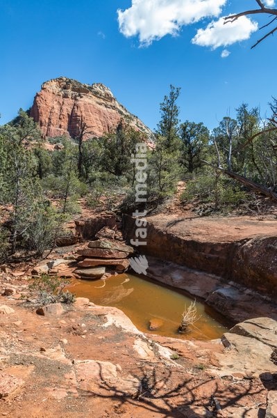 Pooling water along a hiking trail in Sedona, Arizona