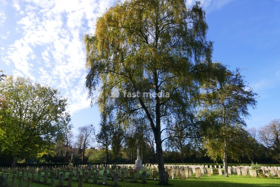The well kept Commonwealth War Graves in the autumnal sunshine in the run up to Remembrance Sunday, the Commonwealth War Graves Commission is an intergovernmental organisation of six independent member states whose principal function is to mark, record and maintain the graves and places of…
