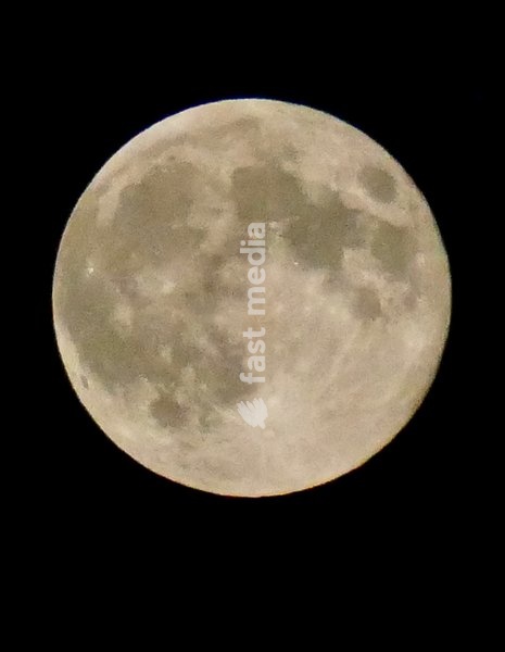 The Hunters Moon, super moon visible over the woods in the evenings sky. Super moons happen when the Moon is closest to the Earth, appearing much bigger and brighter than normal. October's full Moon is called the Hunter's Moon because it occurs when hunters would traditionally have been most active