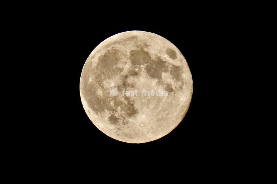 The Hunters Moon, super moon visible over the woods in the evenings sky. Super moons happen when the Moon is closest to the Earth, appearing much bigger and brighter than normal. October's full Moon is called the Hunter's Moon because it occurs when hunters would traditionally have been most active