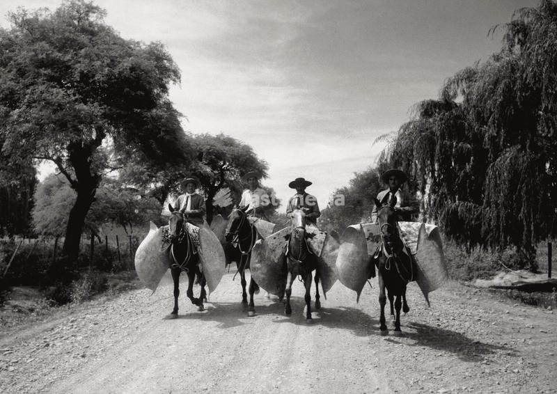 Gauchos on their harnessed horses in a road of Salta. Salta, November 1957 SPECIAL FEE - CONTACT US FOR NOT EDITORIAL USAGE
