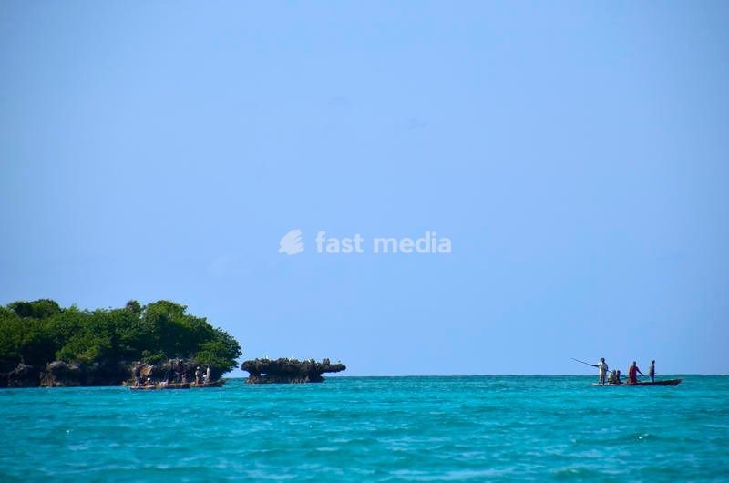 Pemba Island, north of Zanzibar archipelago, in Tanzania, surrounded by Indian Ocean. Pemba is also known as Al Kuh Dra, green island, thanks to her luscious vegetation
