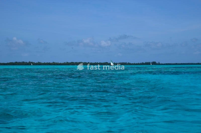 Pemba Island, north of Zanzibar archipelago, in Tanzania, surrounded by Indian Ocean. Pemba is also known as Al Kuh Dra, green island, thanks to her luscious vegetation