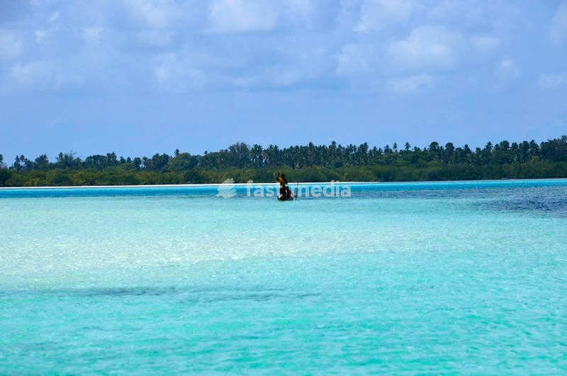 Pemba Island, north of Zanzibar archipelago, in Tanzania, surrounded by Indian Ocean. Pemba is also known as Al Kuh Dra, green island, thanks to her luscious vegetation